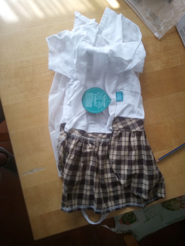 Traje de perrito falda y camisa