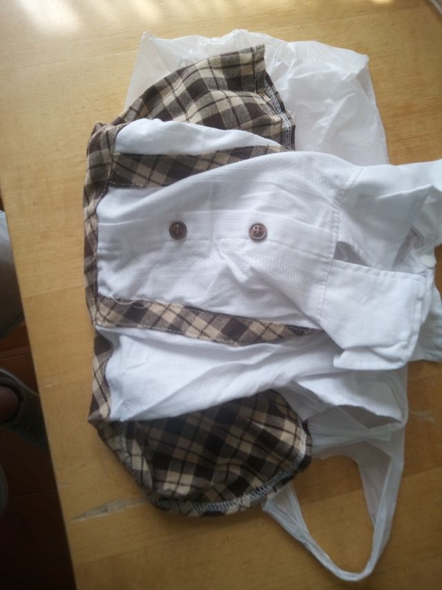 Traje de perrito falda y camisa