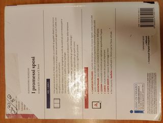 I promessi sposi.Con espansione online Usato liceo