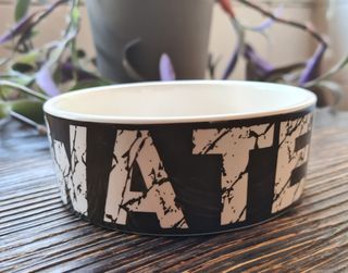 ciotola per cani in ceramica