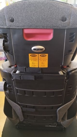 Alzador Jane Montecarlo R1