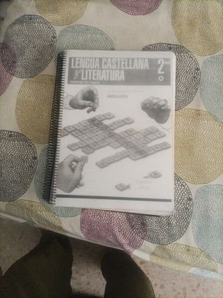 Lengua y literatura castellana segundo bachillerat