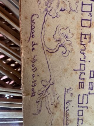 Tomados del Dr. Enrique Stocker 1903