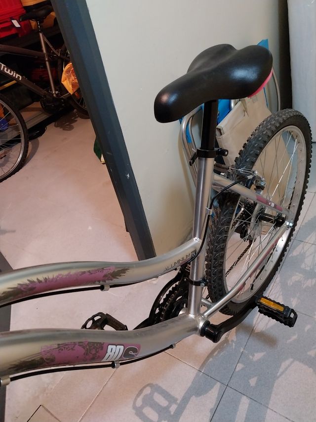 Bicicleta de Montaña Rider 7005