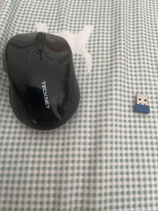 Ratón Tecknet Negro + Receptor USB