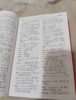 Diccionari Català-Xinès / Xinès-Català