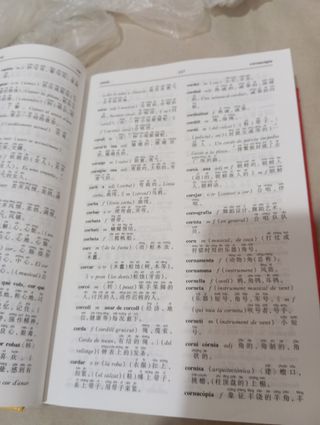 Diccionari Català-Xinès / Xinès-Català