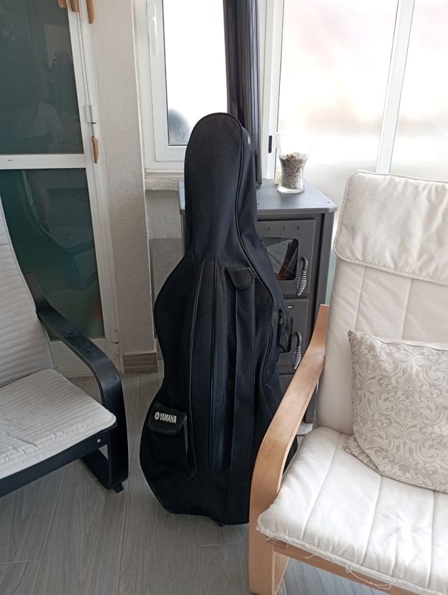 Violonchelo 4/4 con funda