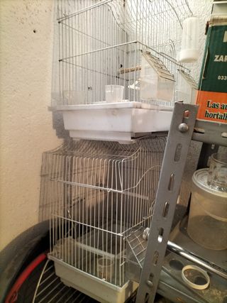 Jaula para pájaros