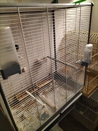 Jaula para pájaros