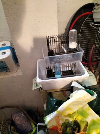 Jaula para pájaros