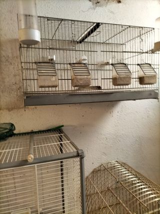 Jaula para pájaros