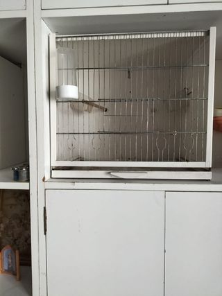 Jaula para pájaros