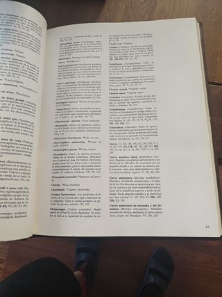 Enciclopedia Salvat De La Fauna