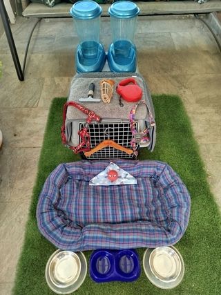 Kit para perros: transportín, comederos, correa