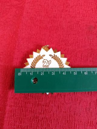 Medalla Mérito Policial Generalitat V