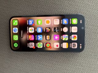 iPhone 13 Pro 256GB Gris