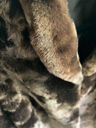 CHAQUETÓN PIEL MUTÓN MARRÓN TALLA M