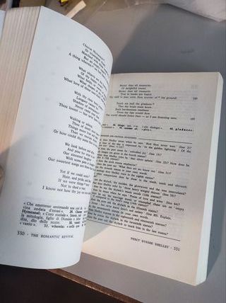 Amodeo The New Miscellany A selection of poetry