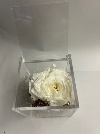 Quadretto Natale Buon Natale