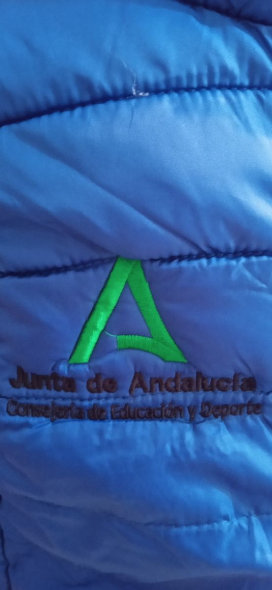 Chaqueta sin mangas azul