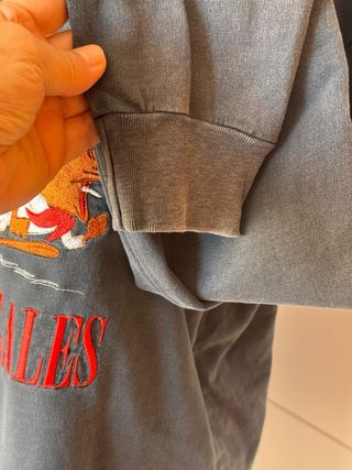 Sudadera Oberdize Bershka Speedy Gonzales