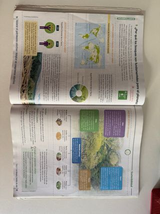 GEOGRAFIA E HISTORIA 1 ESO