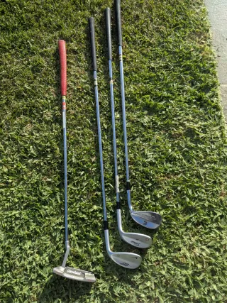 Juego de palos de golf con bolsa y carrito