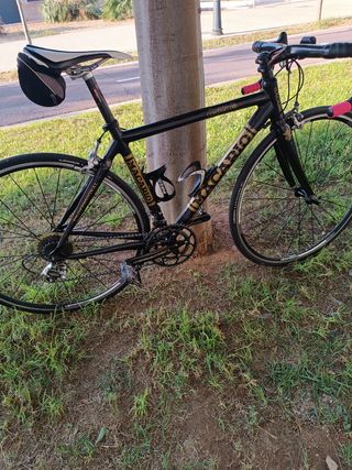 Bicicleta Macario Carbono Carretera talla S