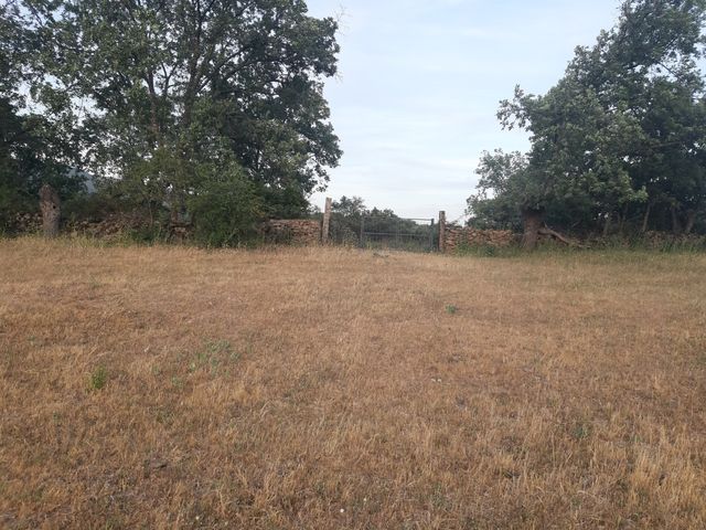 Terreno en Gargüera para recreo