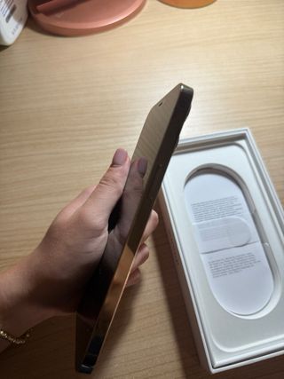 iPhone 12 Pro Max rotto dietro ma sistemabile