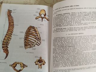 Libro antiguo de Ciencias Naturales Editorial Ecir