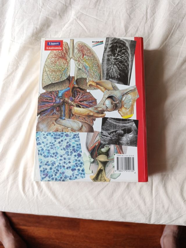 Anatomia 4b* Ed. - Estructura y Morfologia del ...