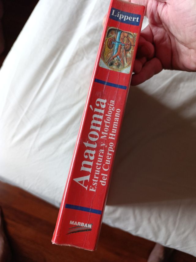 Anatomia 4b* Ed. - Estructura y Morfologia del ...