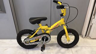 Bicicleta infantil Orion Y12