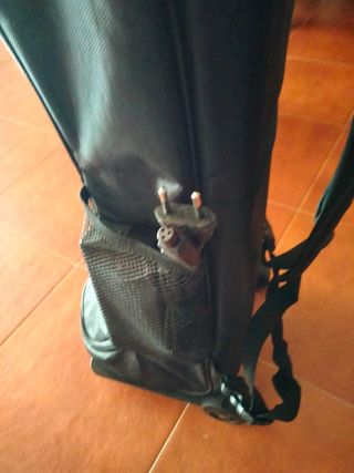 Patinete Hoverboard completo + Mochila con Ruedas