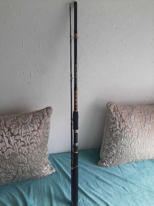 Cana de pesca Ocean King 210