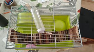 Jaula y complementos para hámster
