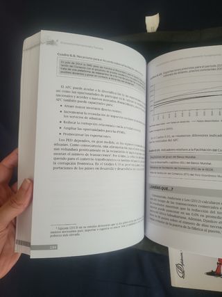 Economía Internacional y Turismo