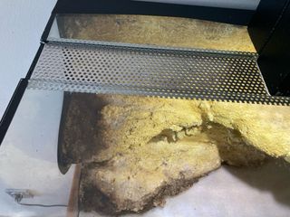 Terrario para reptiles