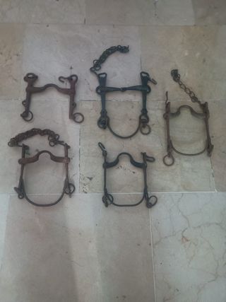 Hierros o bocados vaqueros .