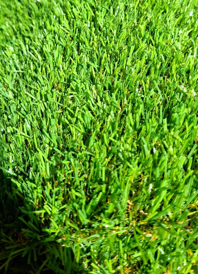 Césped artificial - 1m x 1'5m