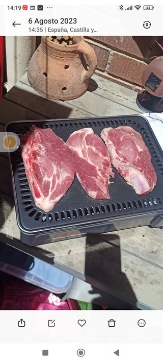 Plancha Parrilla Gas Pequeña