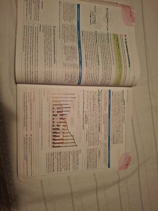 Economía 1.º Bachillerato