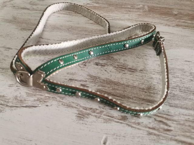 Collar Perro Cuero y Fieltro PETRAL Verde, 50 cm