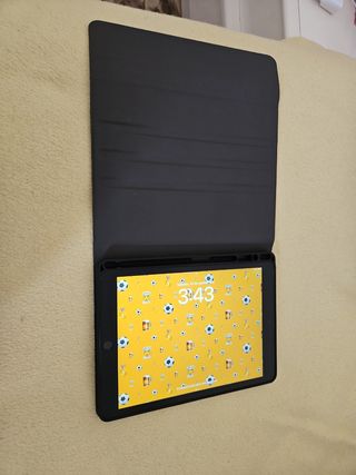 Apple iPad Negro