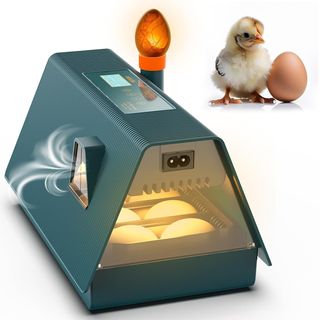 Incubatrice Uova Okkobi M10 Automatica