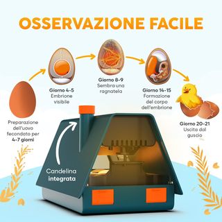 Incubatrice Uova Okkobi M10 Automatica