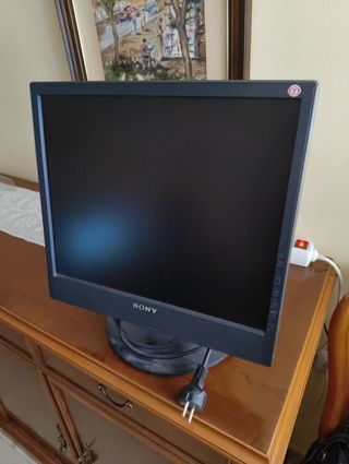 Monitor Sony 1024x768