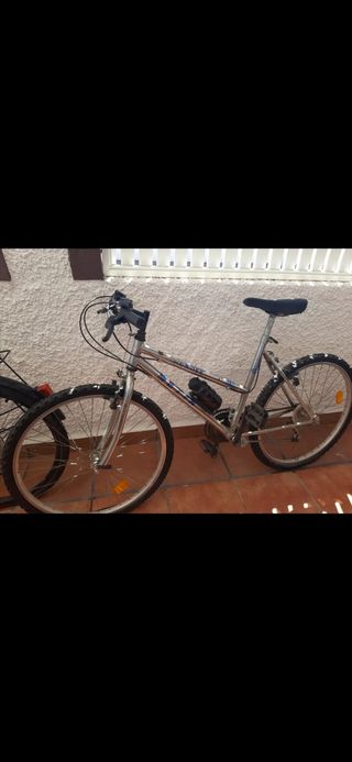 Bicicleta de montaña plateada